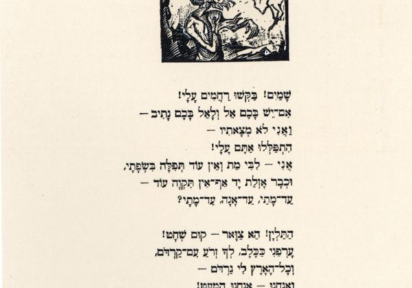 עברית